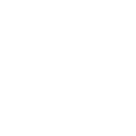 security agent